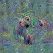 n02130308